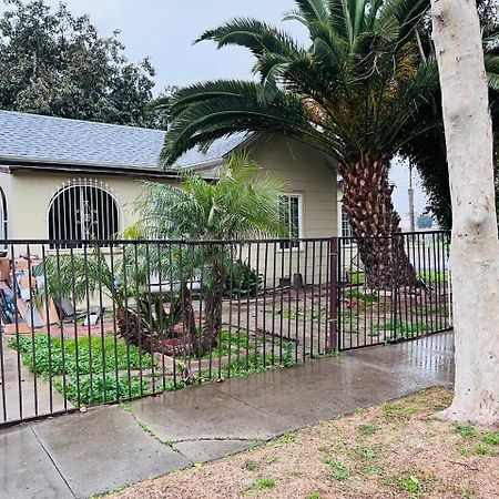 بيت شباب House Downtown Oc سانتا أنا، كاليفورنيا المظهر الخارجي الصورة